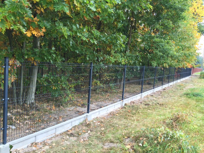 Obrazek piąty